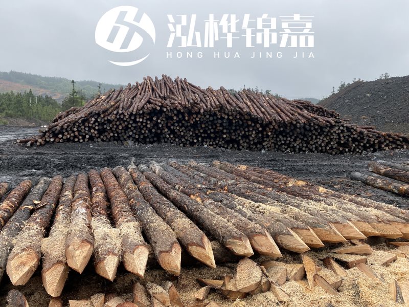 6米長(zhǎng)松木樁有哪些作用，多少錢(qián)一根？
