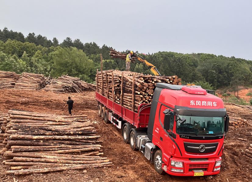 落葉松可以做防腐木嗎，如何制作落葉松防腐木