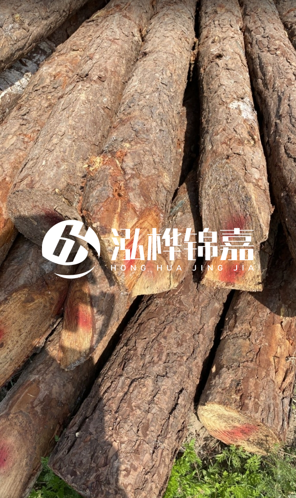 <strong>松木樁和杉木樁的用途區(qū)別？哪個(gè)更適合打樁用？</strong>