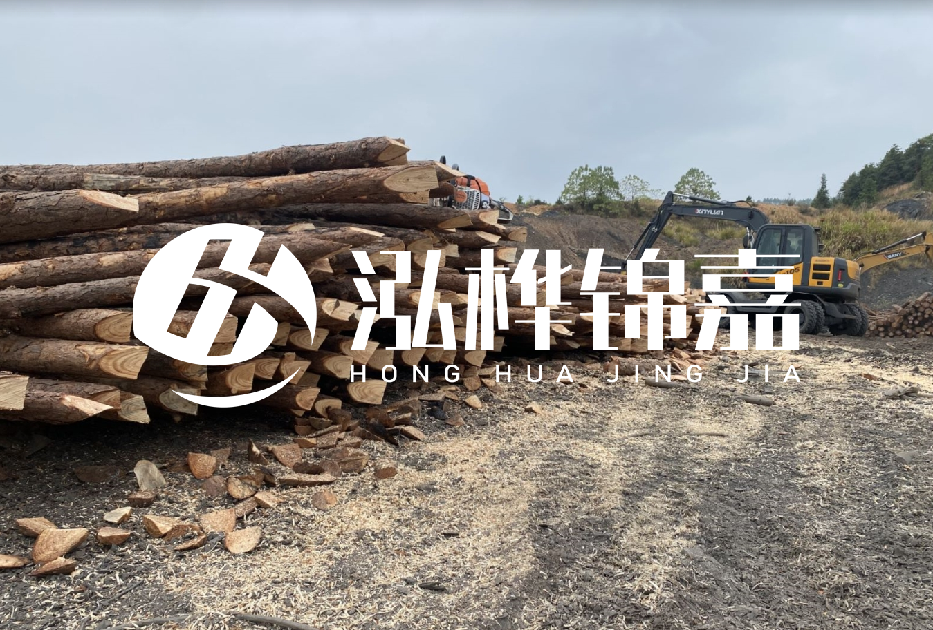 松木樁尾徑是什么意思？