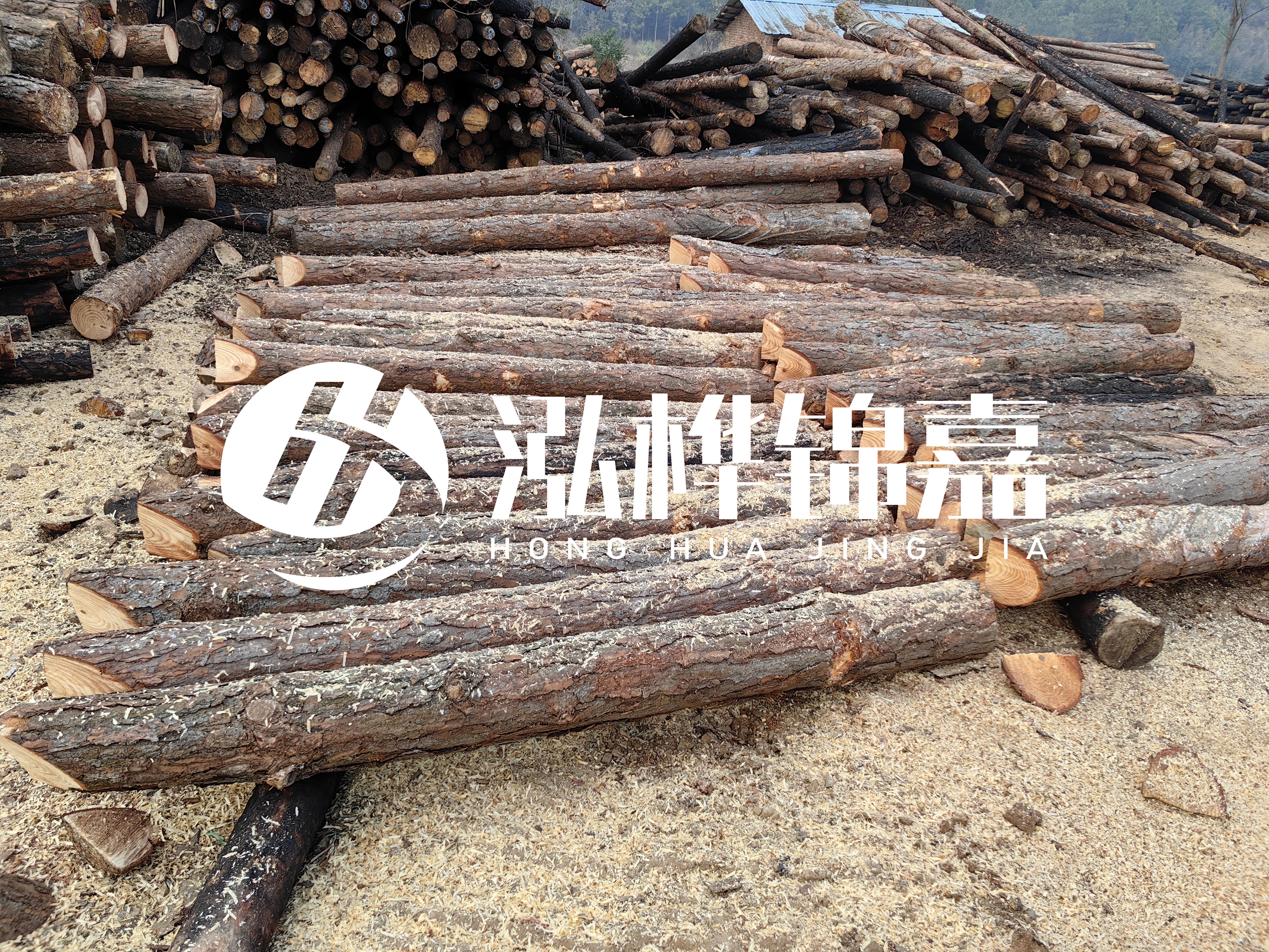 河道打樁木重復(fù)利用嗎？