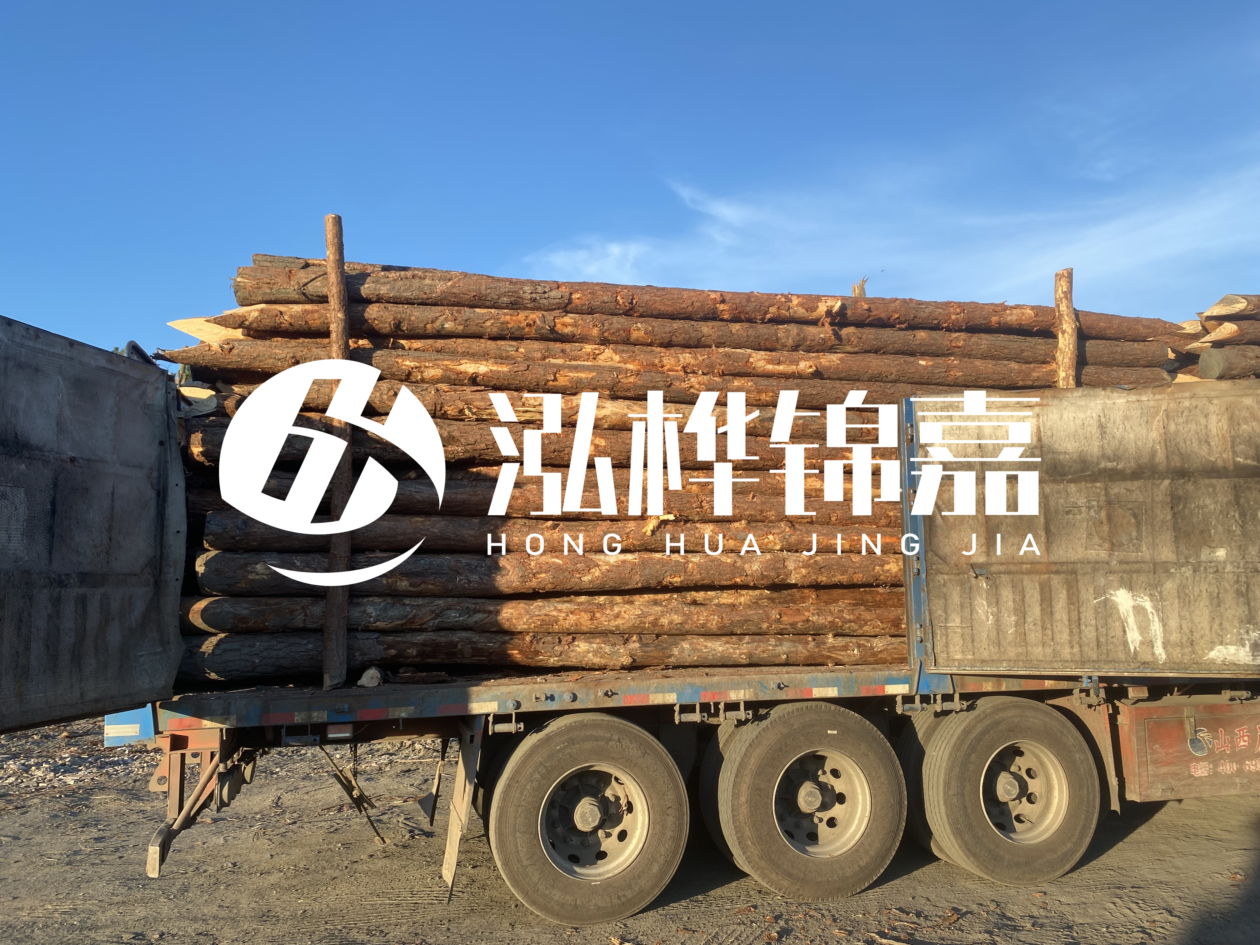 河道治理為什么要用松木樁？