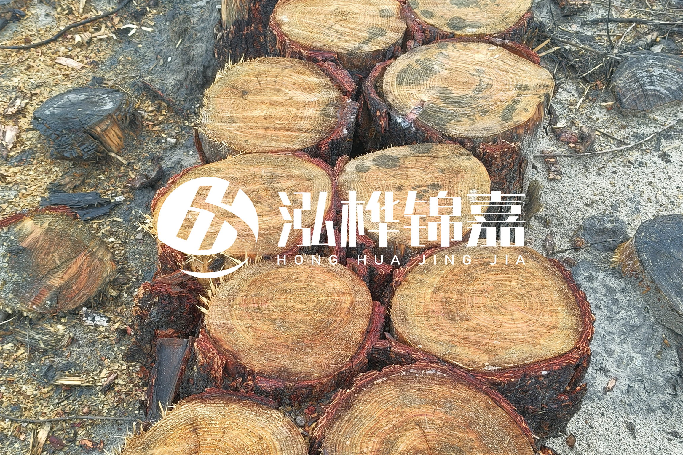 浙江臺(tái)州有清淤的公司嗎？浙江臺(tái)州有清淤施工隊(duì)嗎？