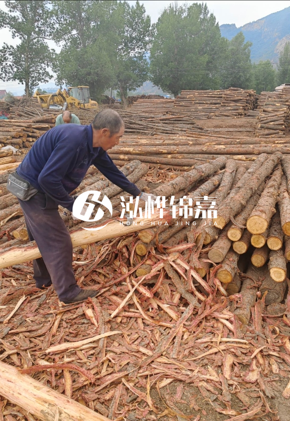 東營河道清淤專業(yè)施工隊-不同型號挖機清淤能力對比？