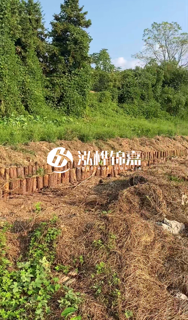 許昌河道清淤專(zhuān)業(yè)施工-河道污水治理要多長(zhǎng)時(shí)間？