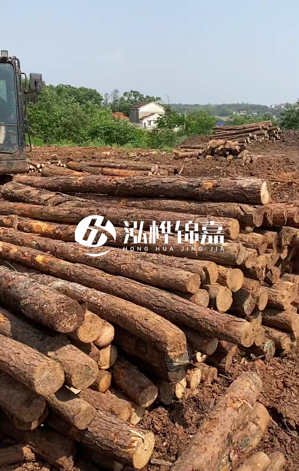 荊州挖機(jī)打木樁專業(yè)施工-河道打樁木被水浸泡后會(huì)不會(huì)變形嚴(yán)重？