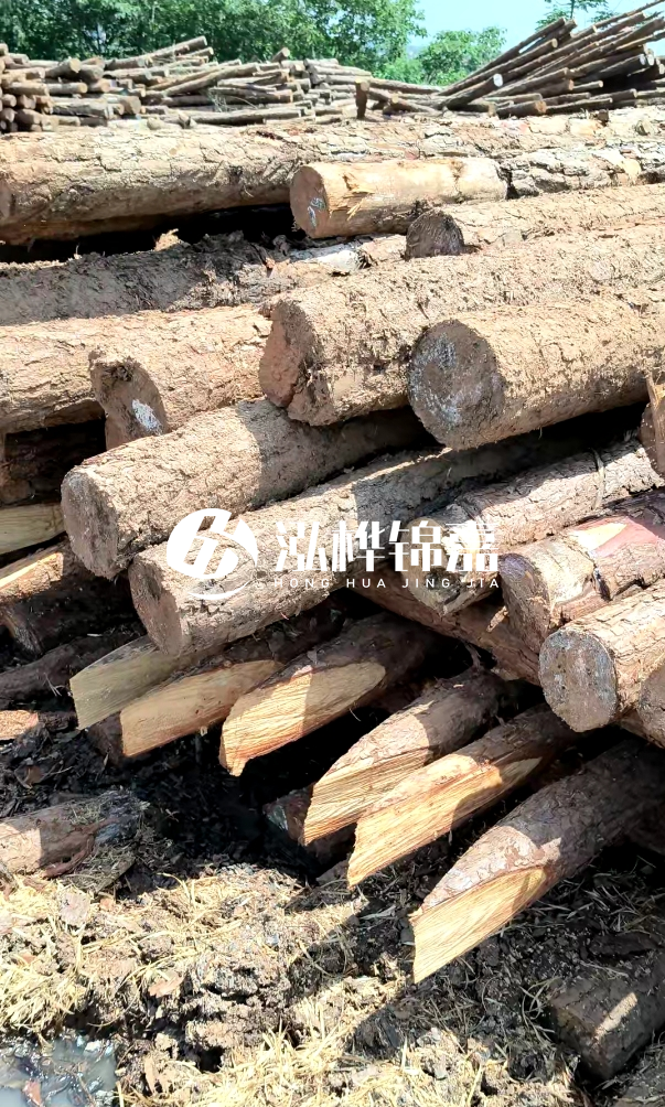 荊門挖機(jī)打木樁專業(yè)施工-河道打木樁前是否要清理河道底部雜物？