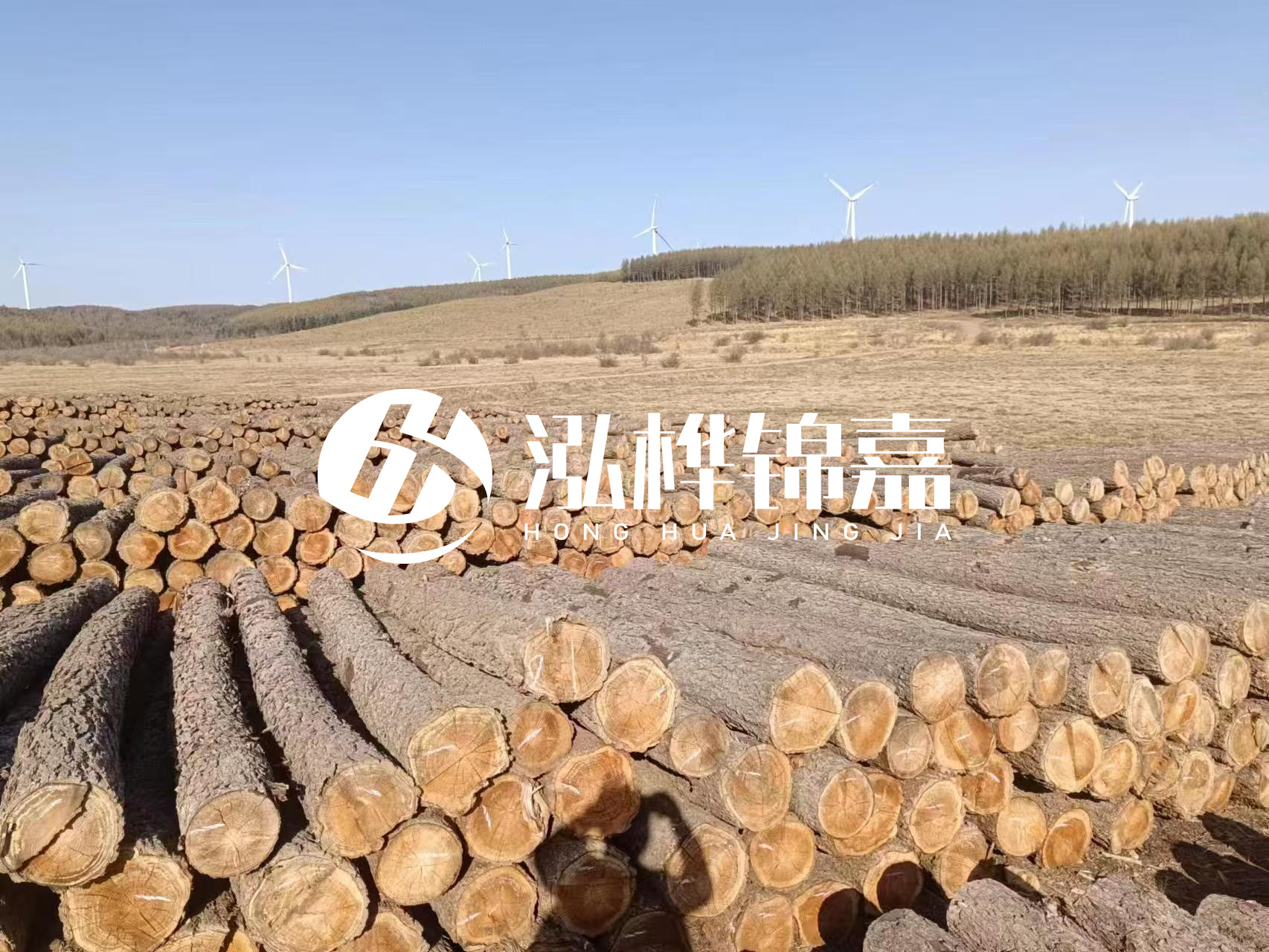 咸寧松木樁源頭廠家-哪里能買到質(zhì)量好的松木樁打樁木？