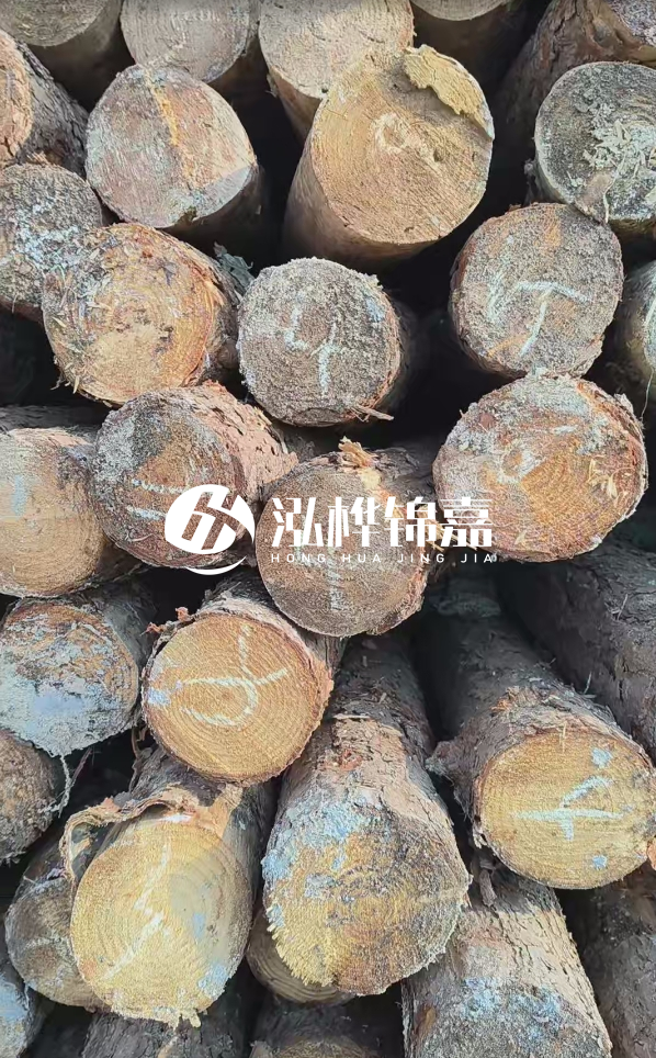 湛江松木樁源頭廠家-松木樁的直徑對河道打樁效果有何影響？