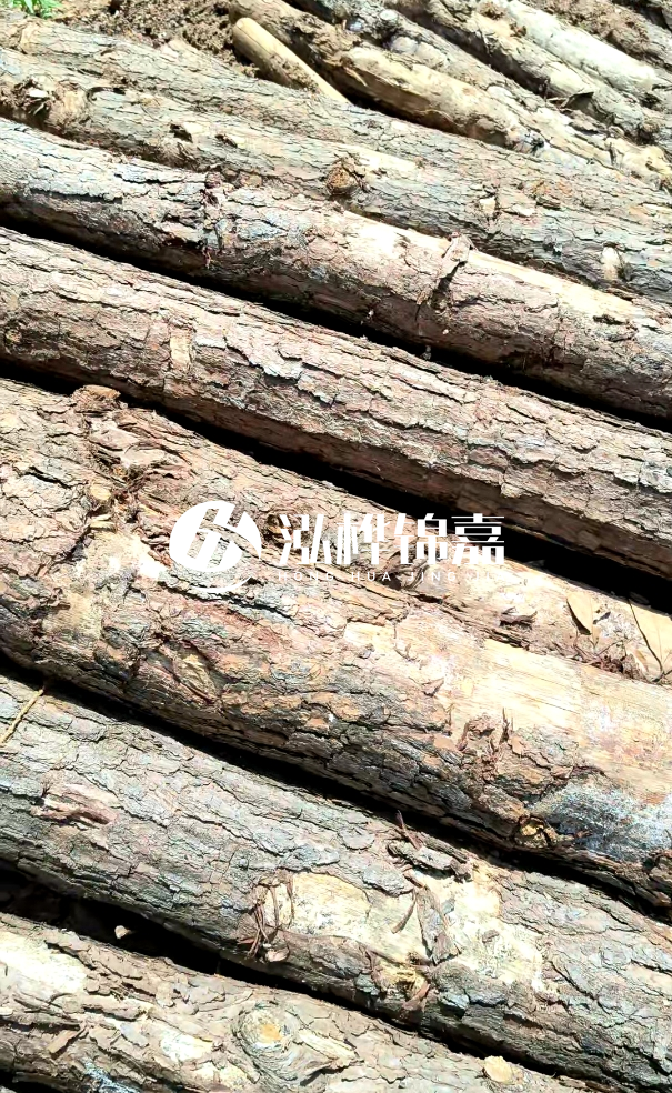 佛山松木樁源頭廠家-松木樁和杉木樁在河道治理中哪個更耐用？