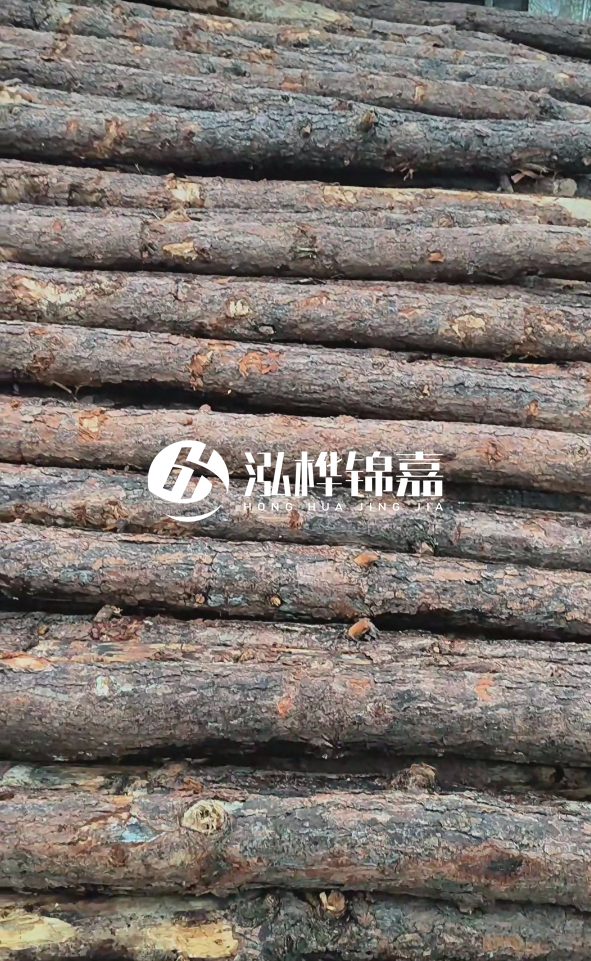 陽江松木樁源頭廠家-哪一種打樁木最便宜？