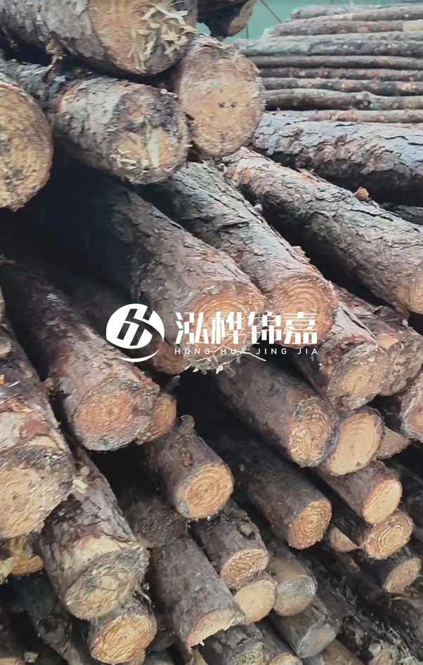 汕尾松木樁源頭廠家-松木樁在水中的耐久性如何？