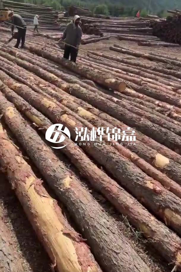 ?？谒赡緲对搭^廠家-松木樁最長可以做多少米？