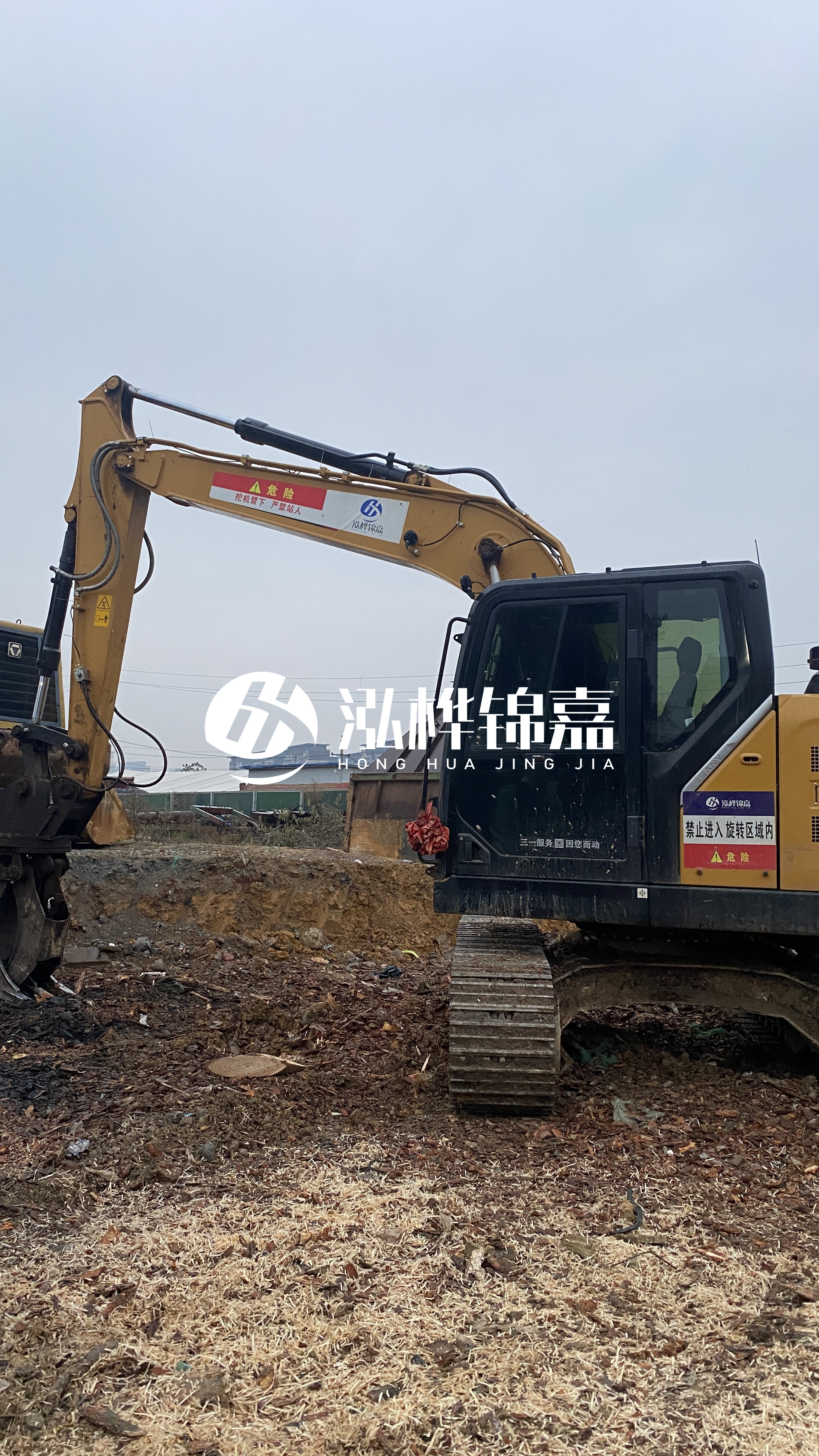 河池松木樁源頭廠家-河道木材松木樁怎么選？