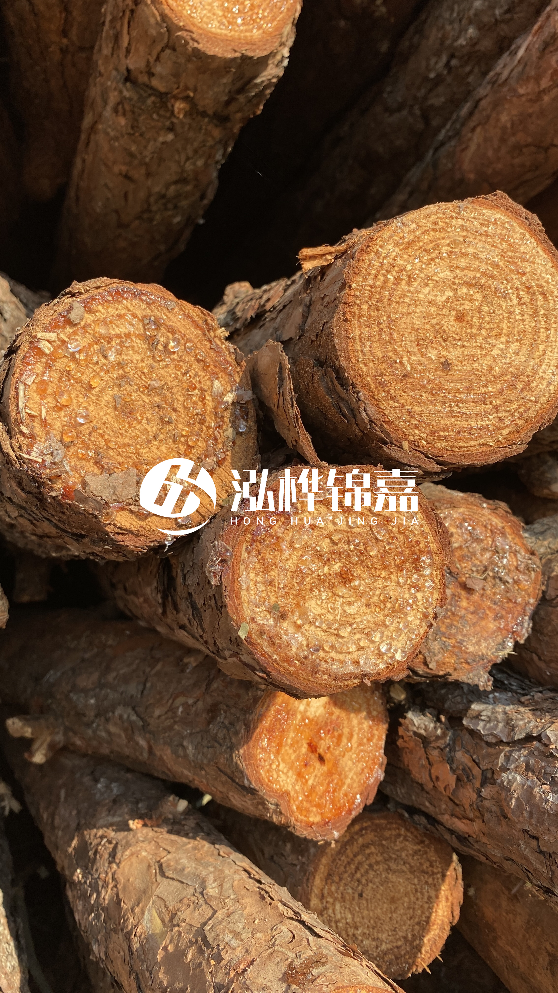 南充松木樁源頭廠家-木樁護坡優(yōu)缺點有哪些？