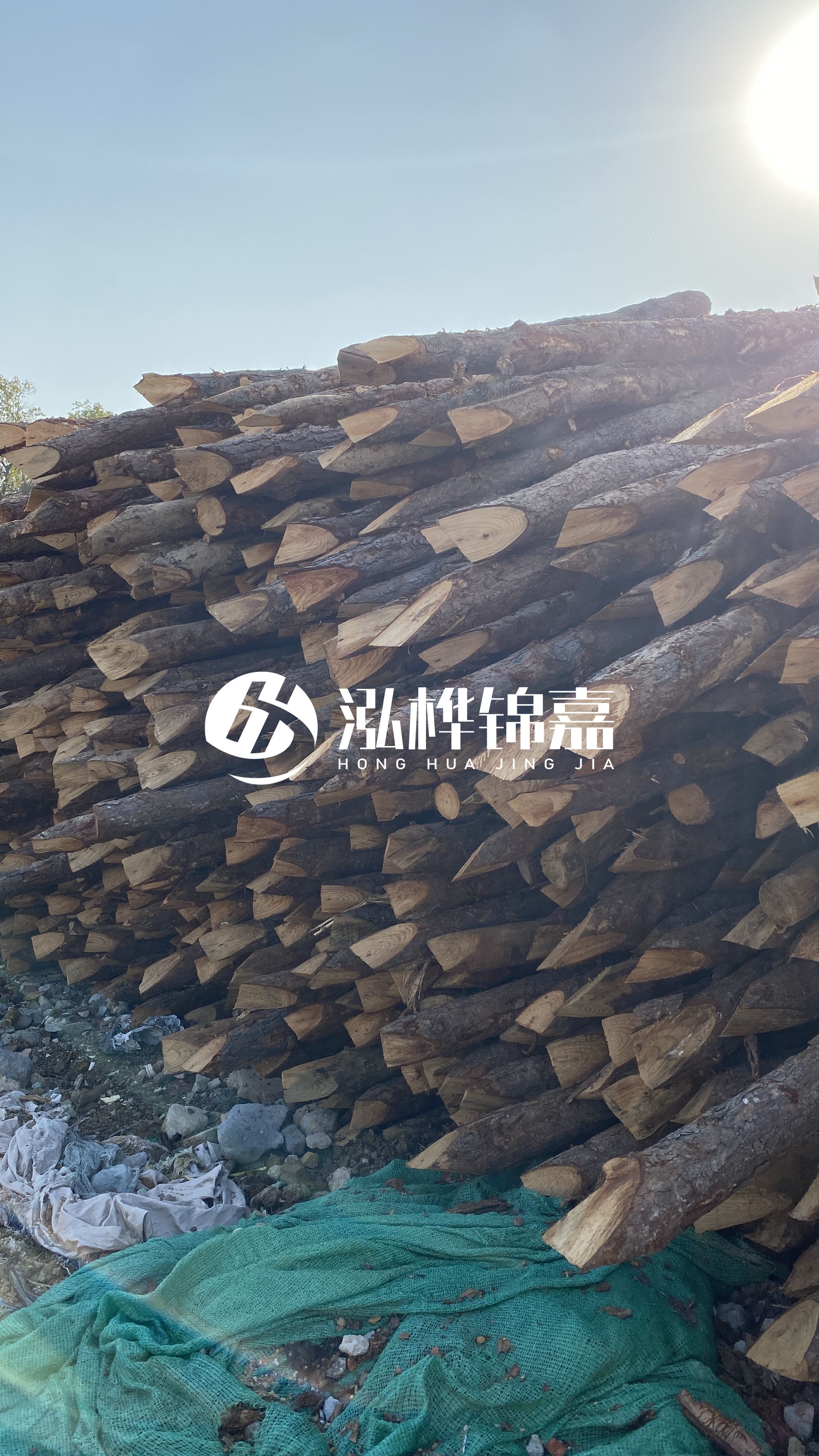 巴中松木樁源頭廠家-原木打樁木是否適合所有地質(zhì)條件？