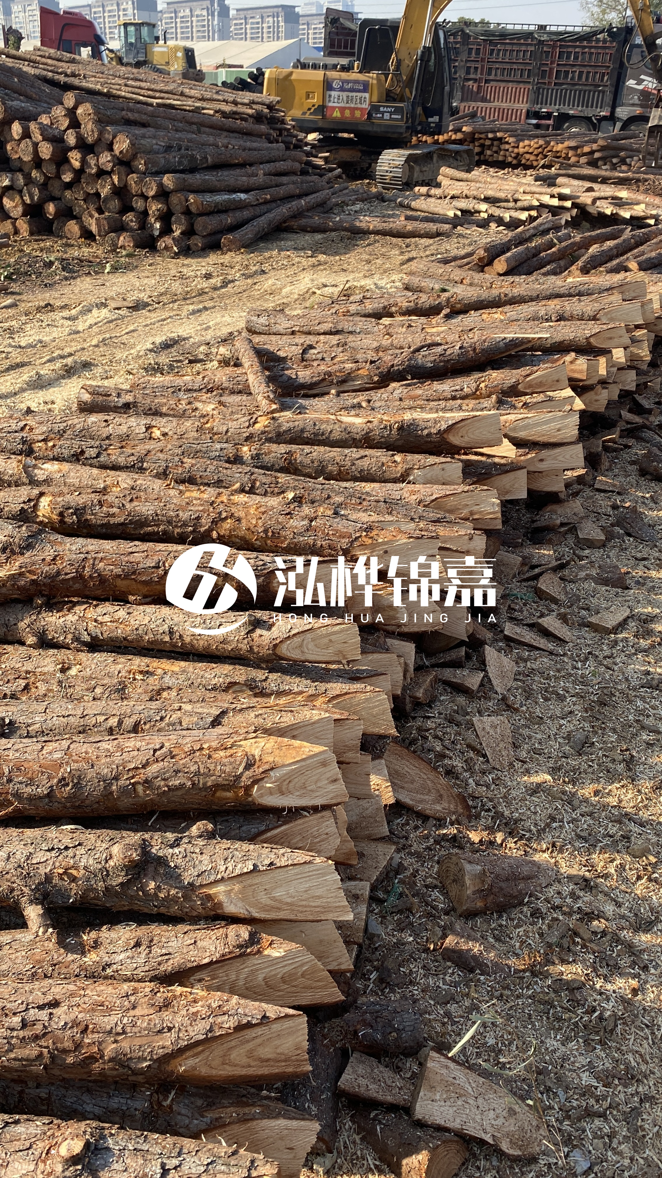 延安松木樁批發(fā)源頭廠家-杉木樁直徑按大頭算嗎？