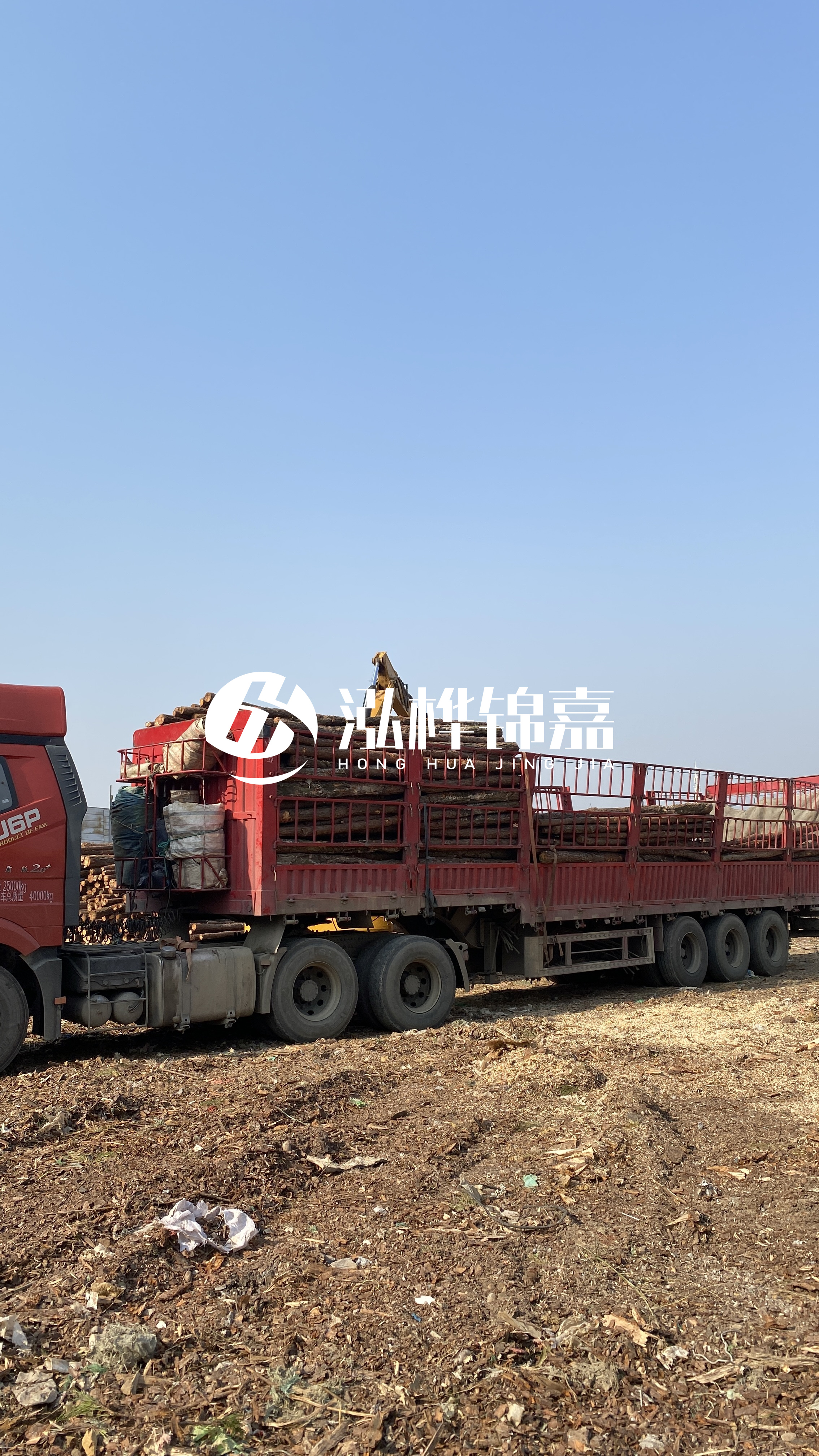 蘭州松木樁批發(fā)源頭廠家-落葉松與濕地松的主要區(qū)別？