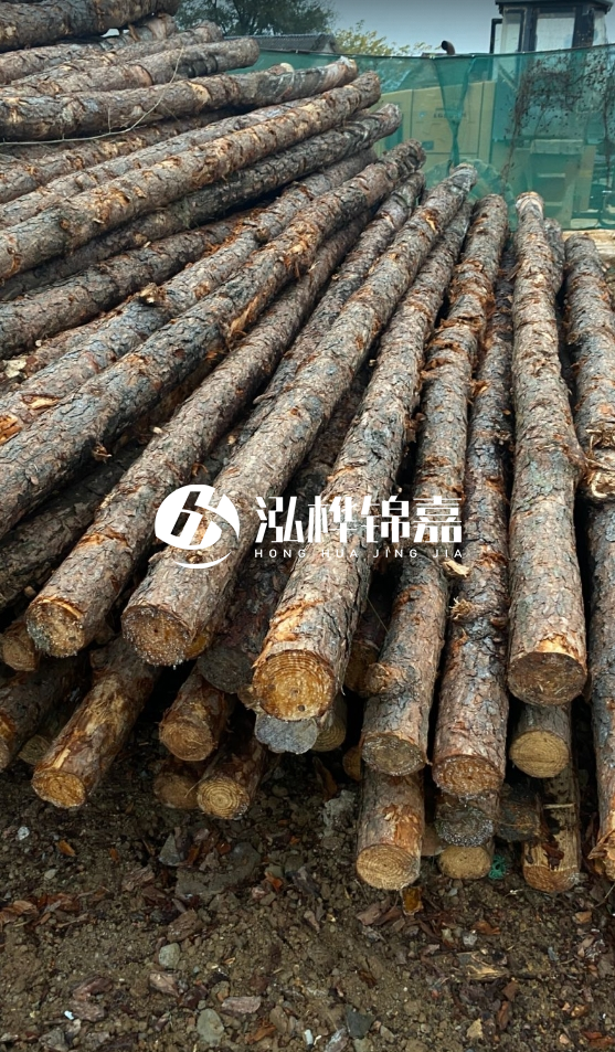 徐州松木樁批發(fā)源頭廠家-松木樁需要做防腐嗎？