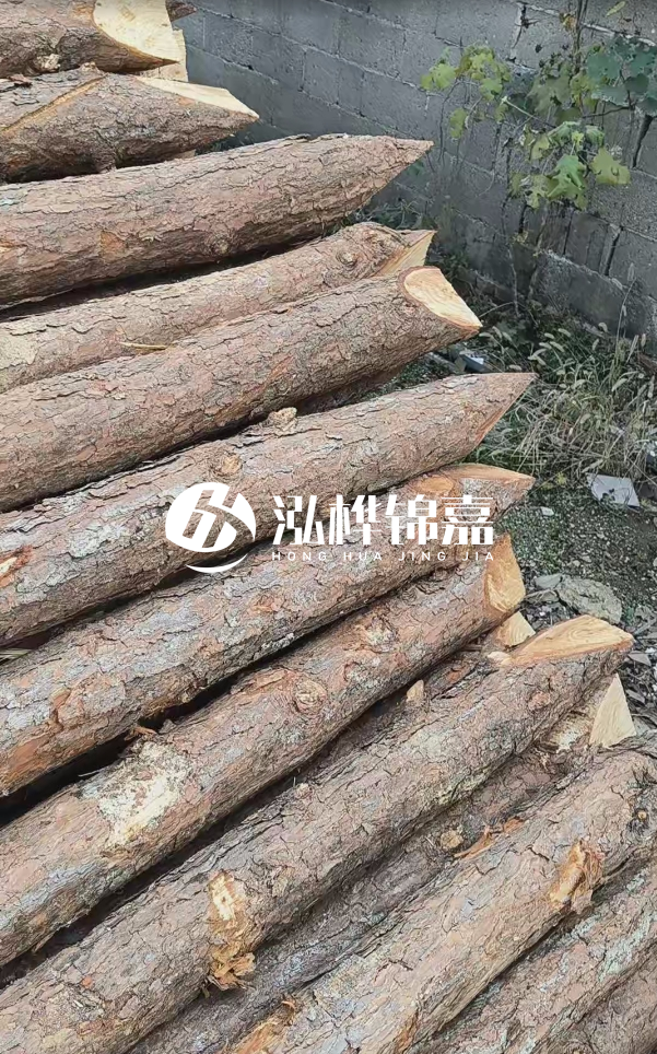 松木樁哪里能大量供應？4米20公分松木樁價格是多少？