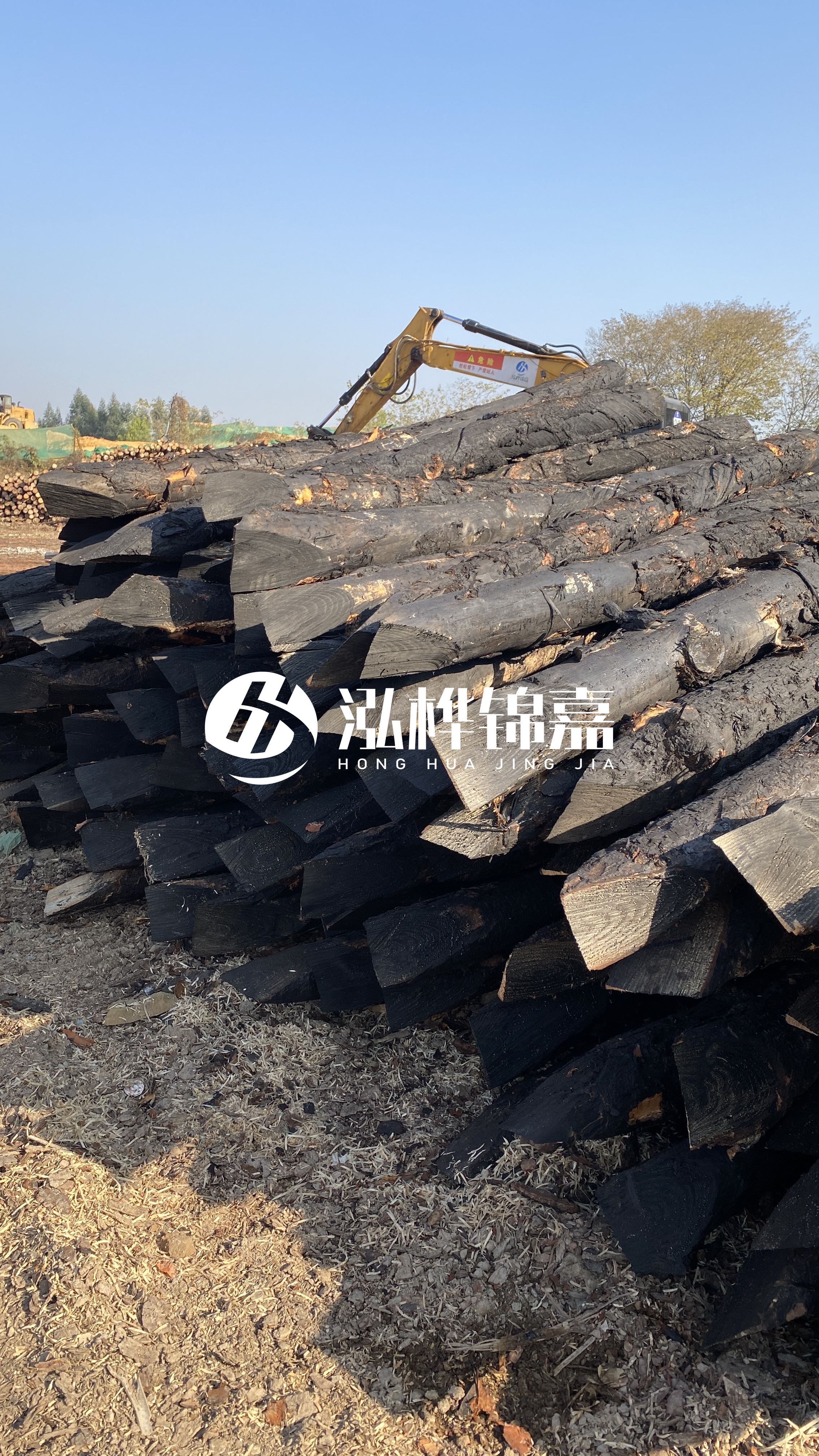 如何辨別優(yōu)質(zhì)的松木樁廠家？助你避開雷區(qū)！