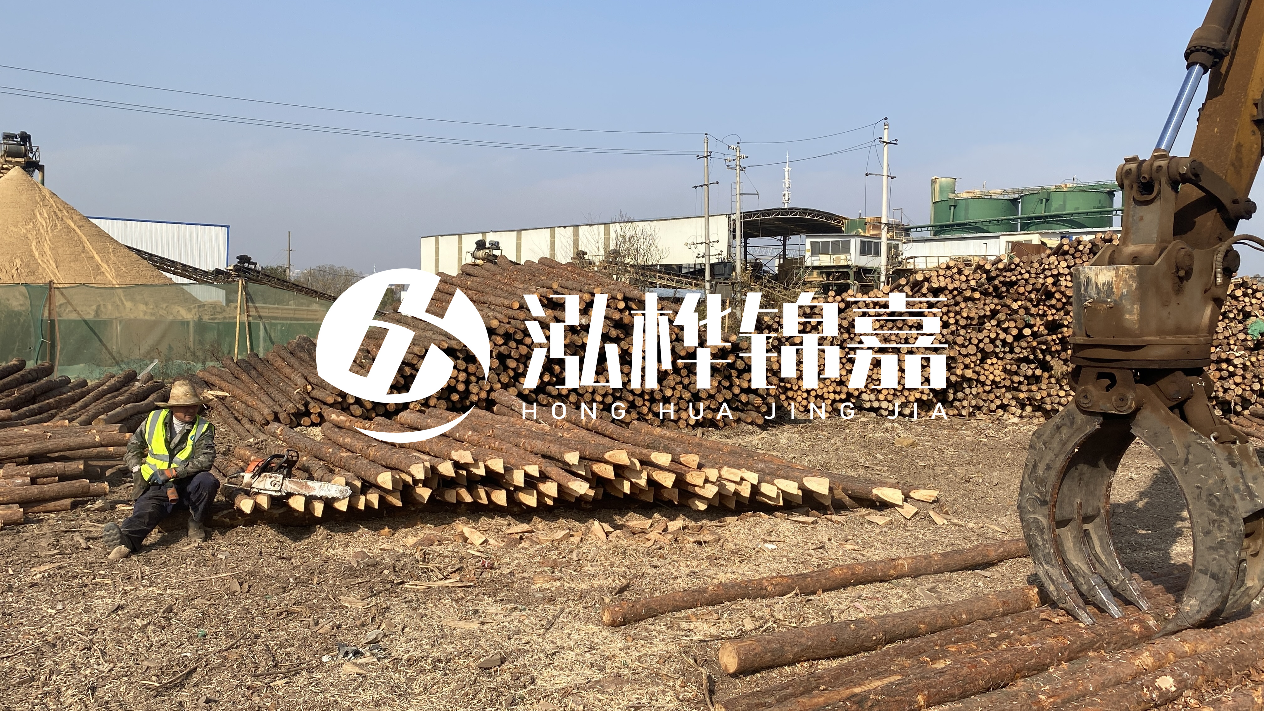 河道木材松木樁怎么選？松木樁源頭廠家告訴你！