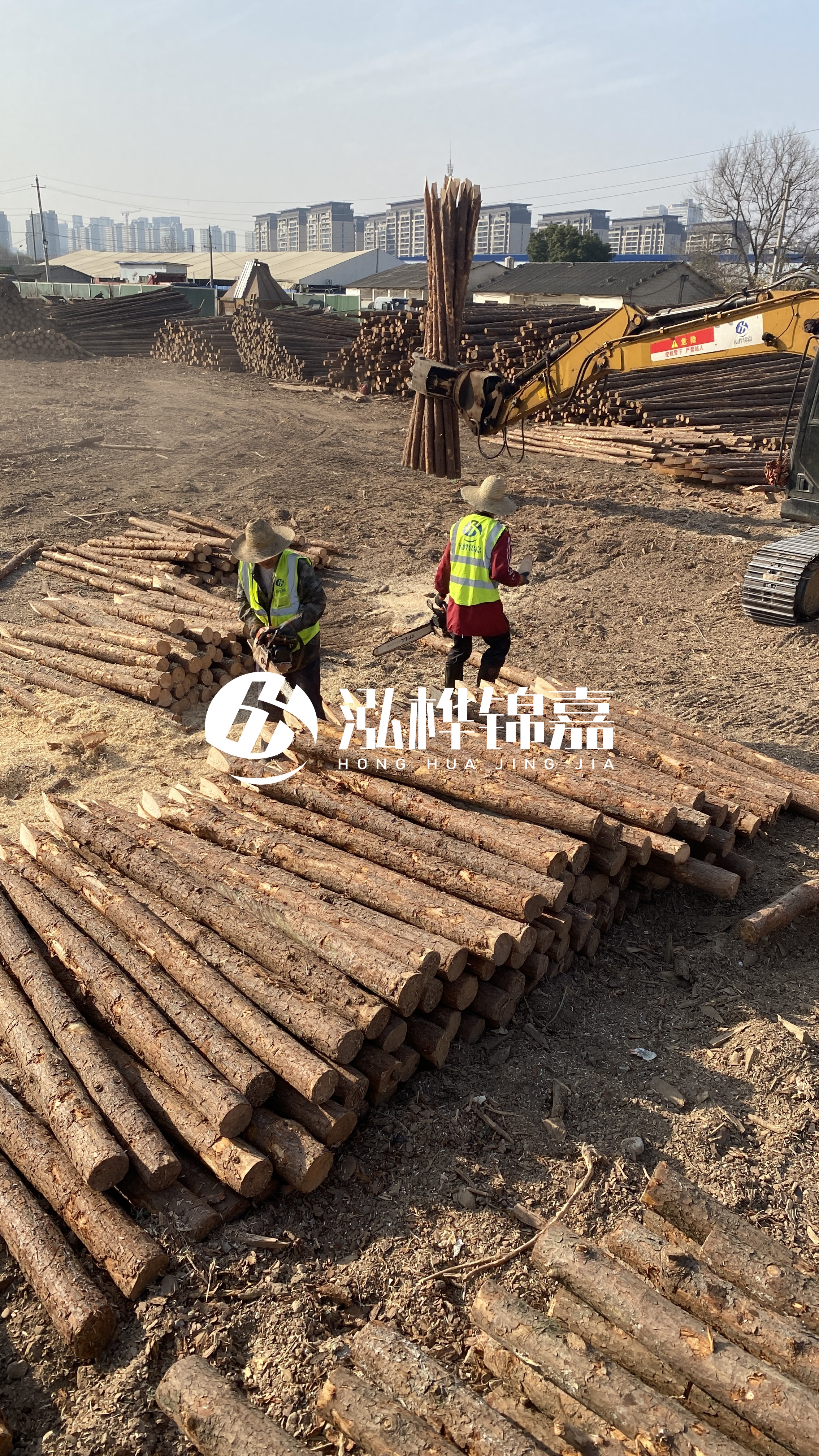 松木樁梢徑怎么測量？實用教程！一文教會你！