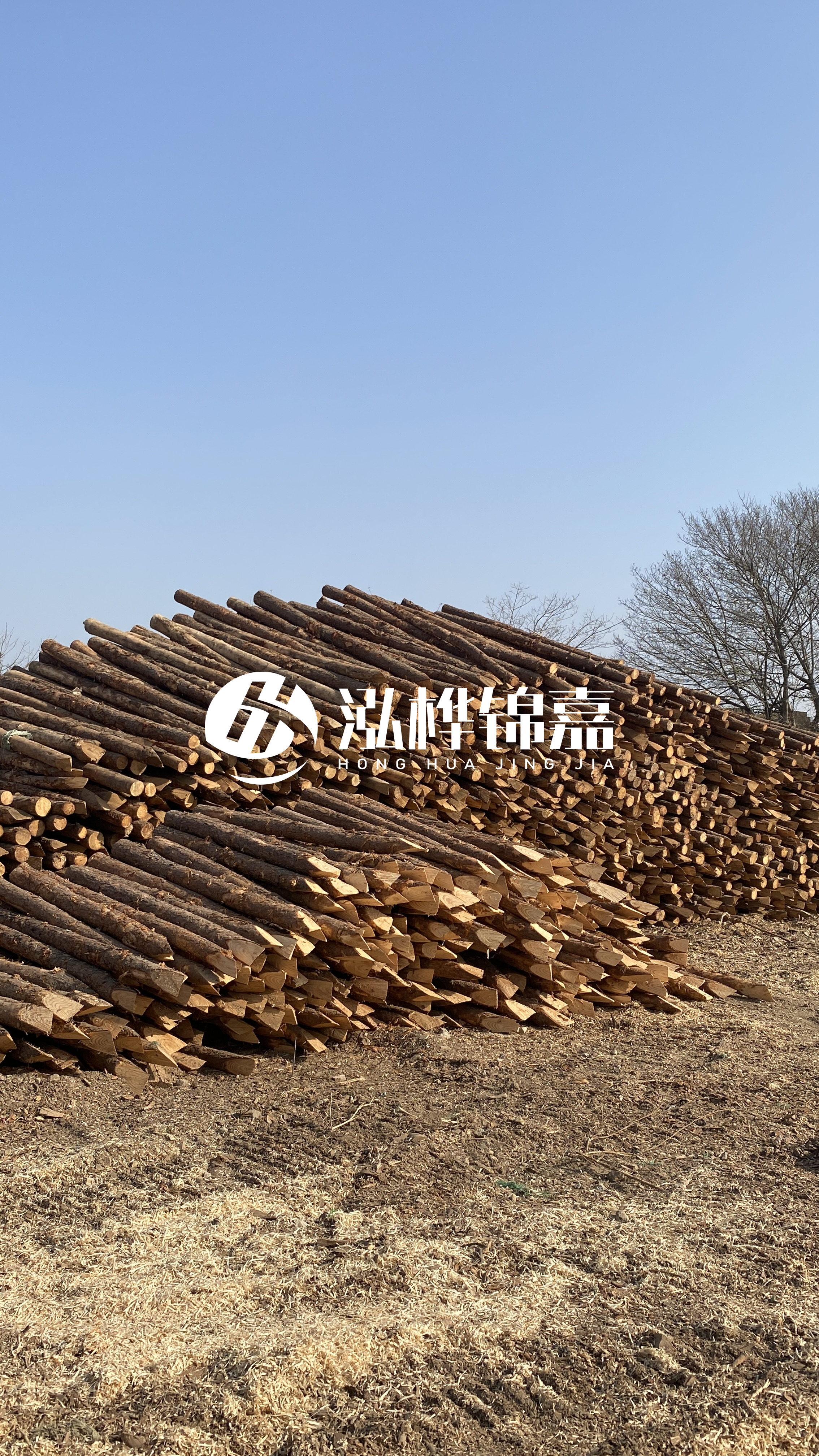 松木樁頭徑比尾徑大多少？計算方式是什么？