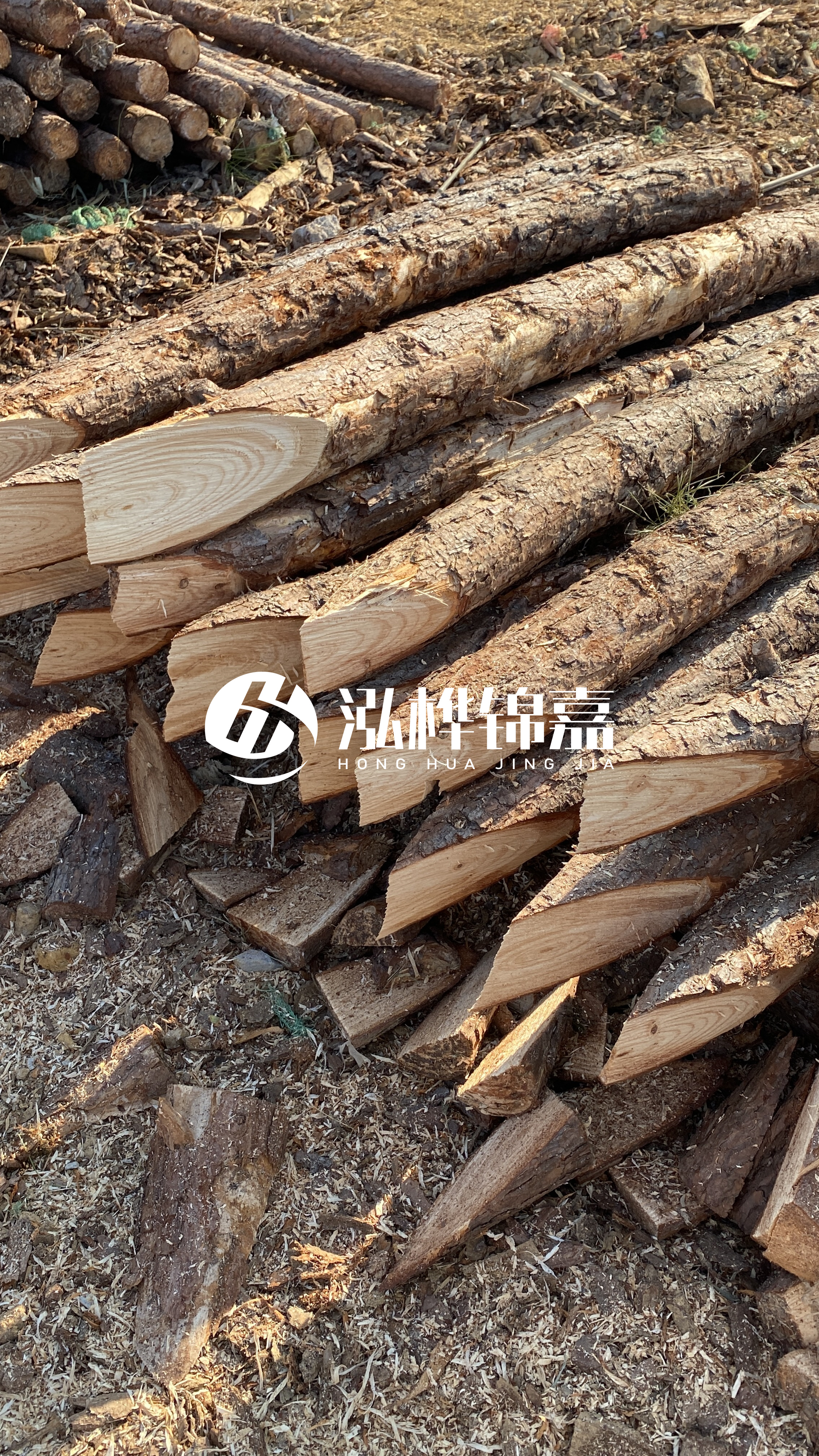 3米8公分松木樁價格是多少？市場最新報價大公開！