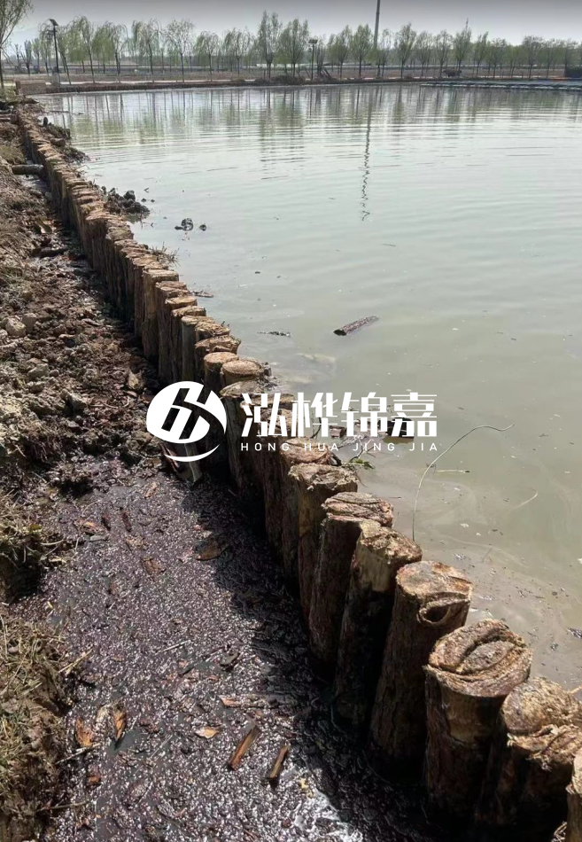 松木樁為什么要一根一根挨著打？秘密在這里！看完恍然大悟！