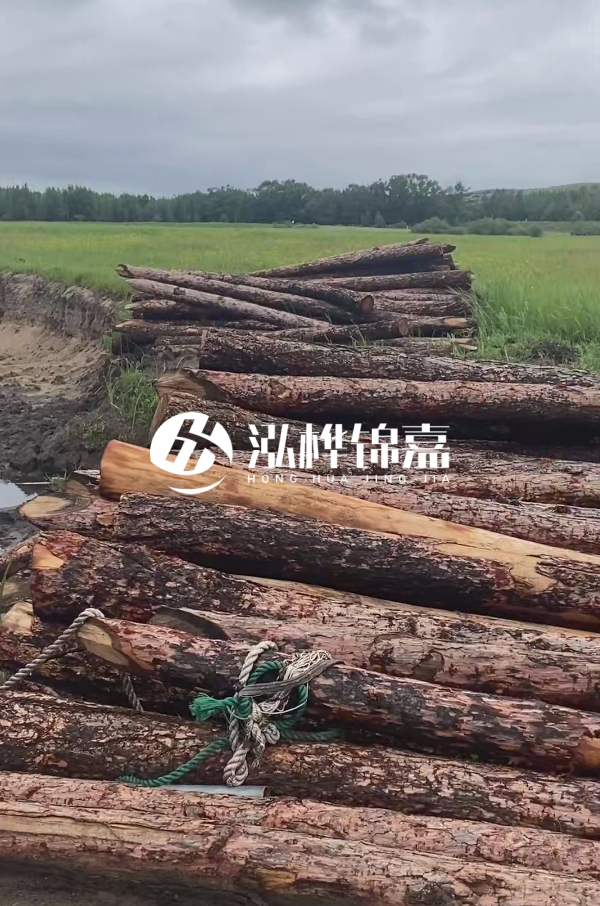 打樁木樁的選購(gòu)標(biāo)準(zhǔn)是什么？材質(zhì)、尺寸與強(qiáng)度，哪些標(biāo)準(zhǔn)不能忽視？