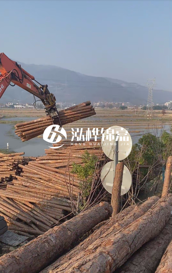 松木樁是否需要削皮呢？松木樁為什么不會(huì)爛掉呢？