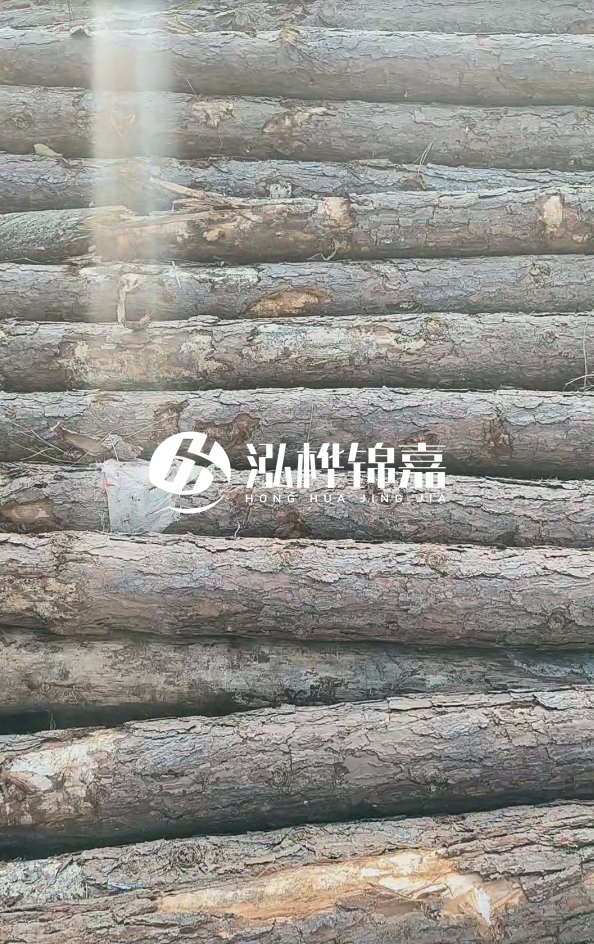 松木樁5米100mm一根多少錢-5米140mm多少錢？