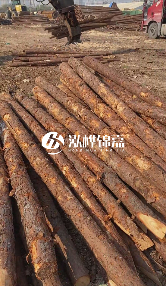 7米松木樁8一12公分價(jià)格？直徑15公分松木樁多少錢？