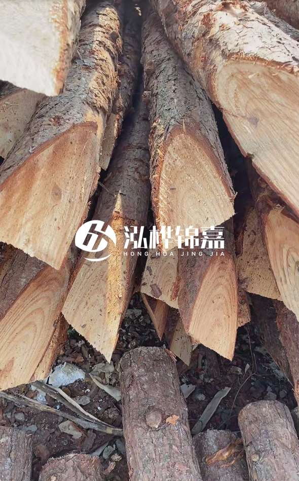 3米杉木樁梢頭12大頭多少？賣多少錢一根？