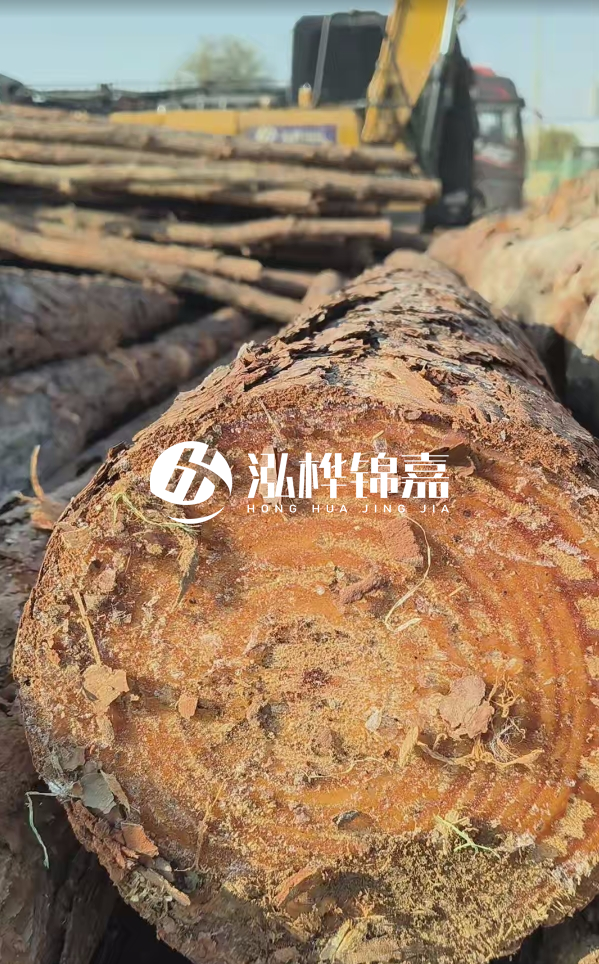 杉木樁價(jià)格多少錢一方-3米直徑14公分杉木樁價(jià)格？