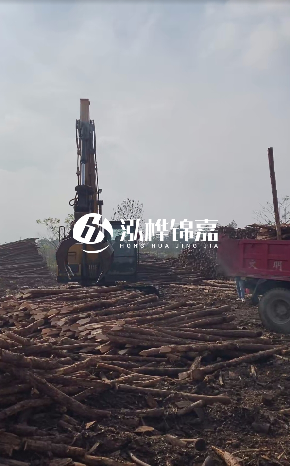 6米打樁木多少錢一根-6米10-15公分價(jià)格是多少？