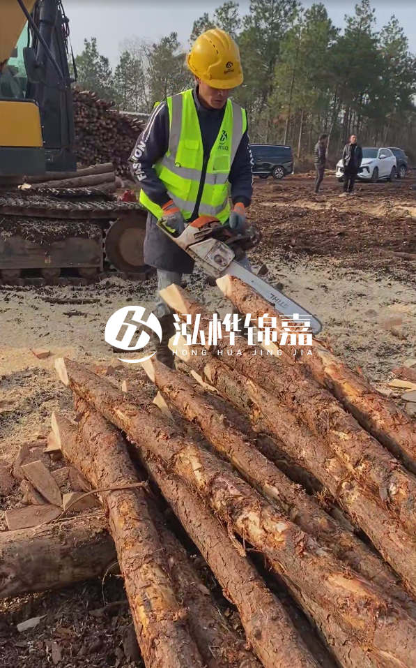 松木樁樁長1.5米稍徑12多少錢一根？樁長1.5米稍徑12大頭多少？