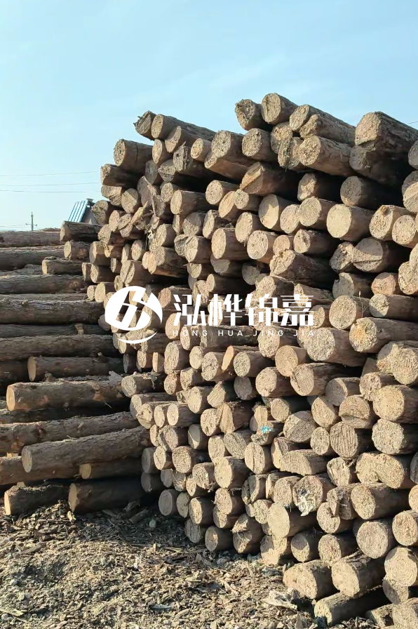 江西哪里有松木樁賣-4米12-14公分松木樁價(jià)格揭秘！