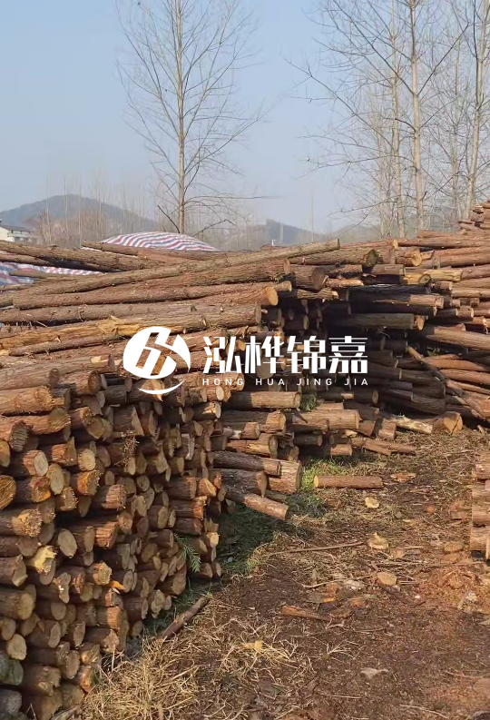 貴州打樁木材價格多少-打樁木材價格多少錢一立方？