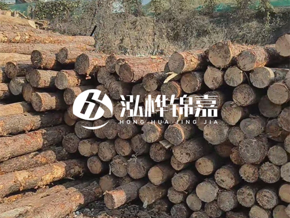 落葉松木材的主要產(chǎn)地在哪里？為什么比其他松木更耐腐蝕？