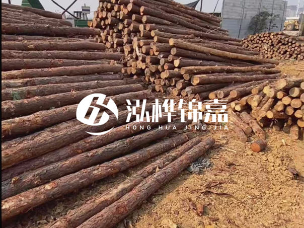 河道木樁施工遇到淤泥怎么辦？打多深才能防沖刷？