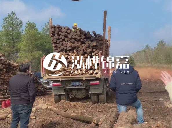 松木樁價(jià)格是按米算還是按根算？6米松木樁批發(fā)價(jià)每根多少錢？