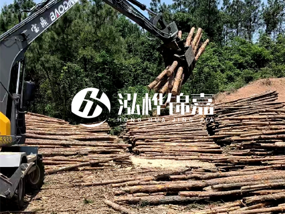 3米松木樁小頭10公分多少錢一根？大頭10公分又是多少錢？