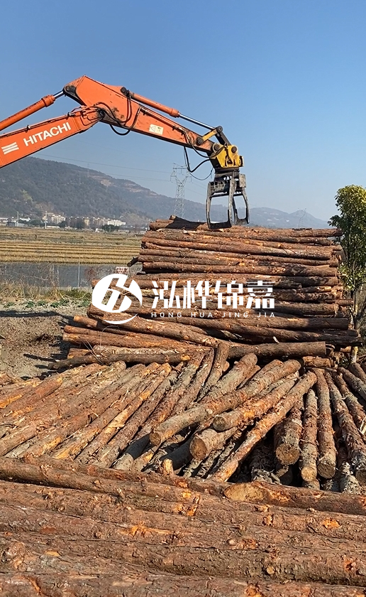 帶皮松木樁的防腐效果如何？和不帶皮松木樁價(jià)格差異有多大？