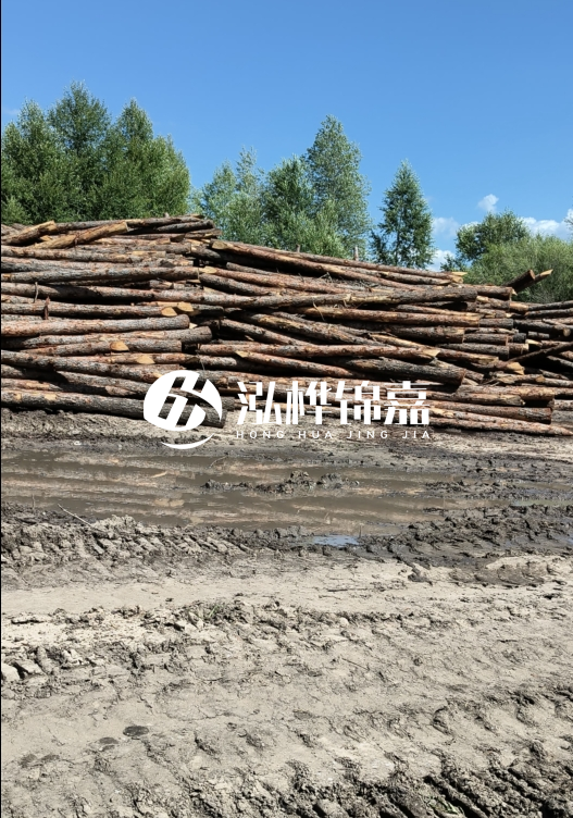 3米松木樁適合河道護坡嗎？小頭直徑8厘米的松木樁價格如何？