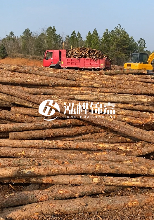 8米小頭11-13CM的松木樁價格是多少？打樁施工怎么算？