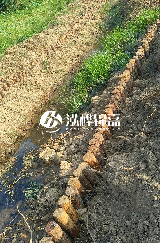 湖南松木樁批發(fā)廠家直銷-松木樁做碳化多少錢一根？