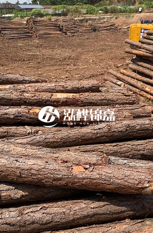 陜西河道木樁源頭廠家泓樺錦嘉-3米大頭11-13厘米多少錢一根？