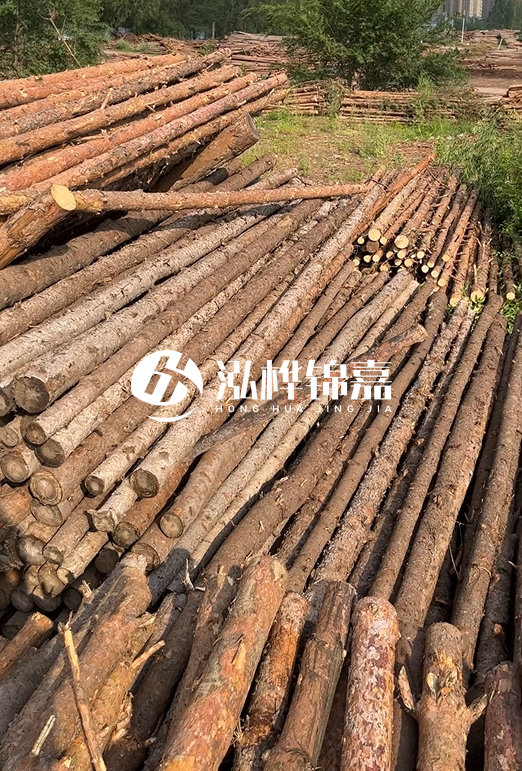 如何選擇合適的松木樁廠家？采購松木樁需要考慮的因素有哪些？